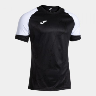 HISPA V