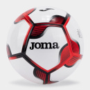 CHALLENGE IV BALL