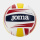 J-MATCH VOLLEYBALL