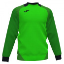 ESSENTIAL II SWEATSHIRT